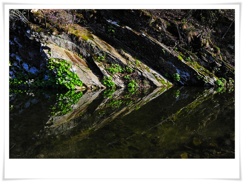DSC_2565-2.jpg