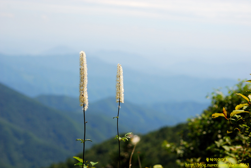DSC_8189.jpg