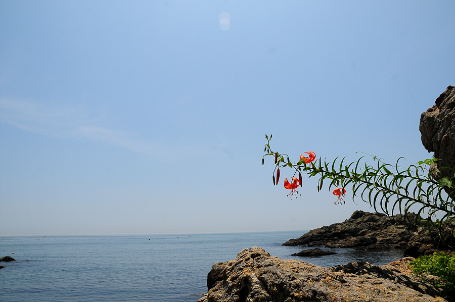 DSC_4489.jpg