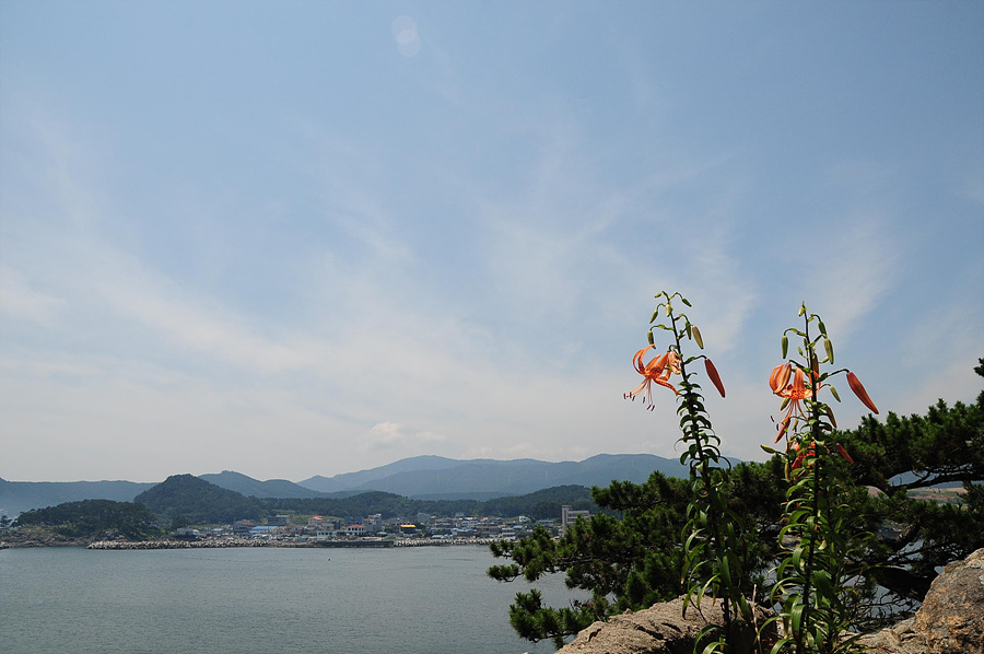 DSC_4586.jpg