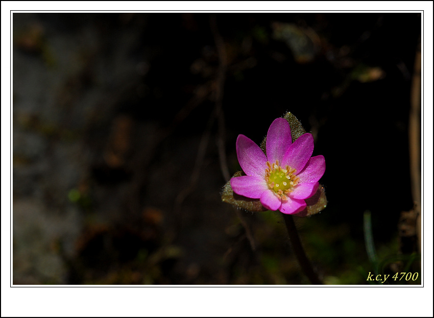 DSC_3615.jpg