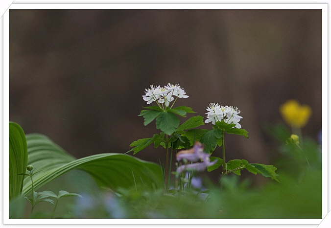 DSCF6838.JPG