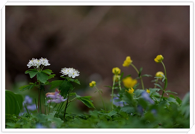 DSCF6841.JPG