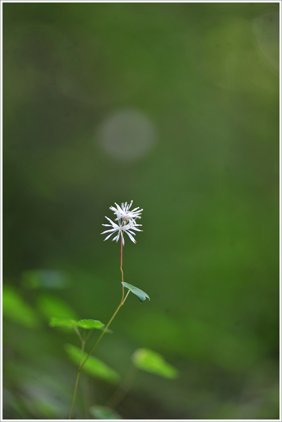 DSC_2417.jpg