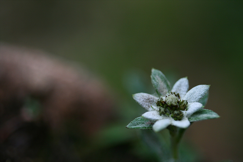20090606 521.jpg