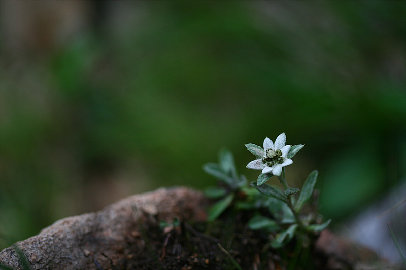 20090606 506.jpg