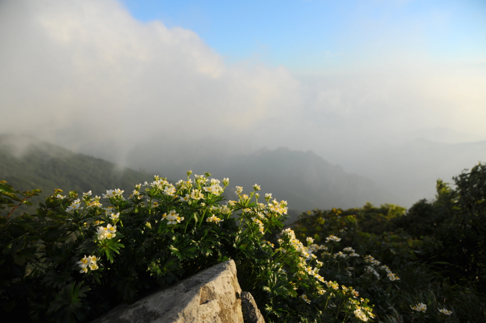 DSC_0974.jpg