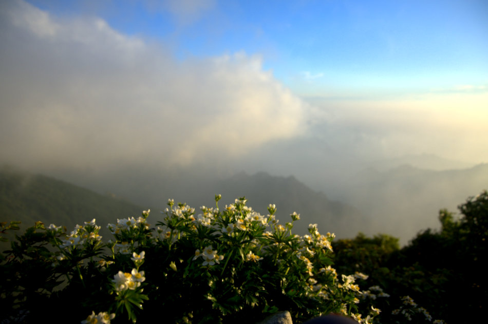 DSC_0983.JPG