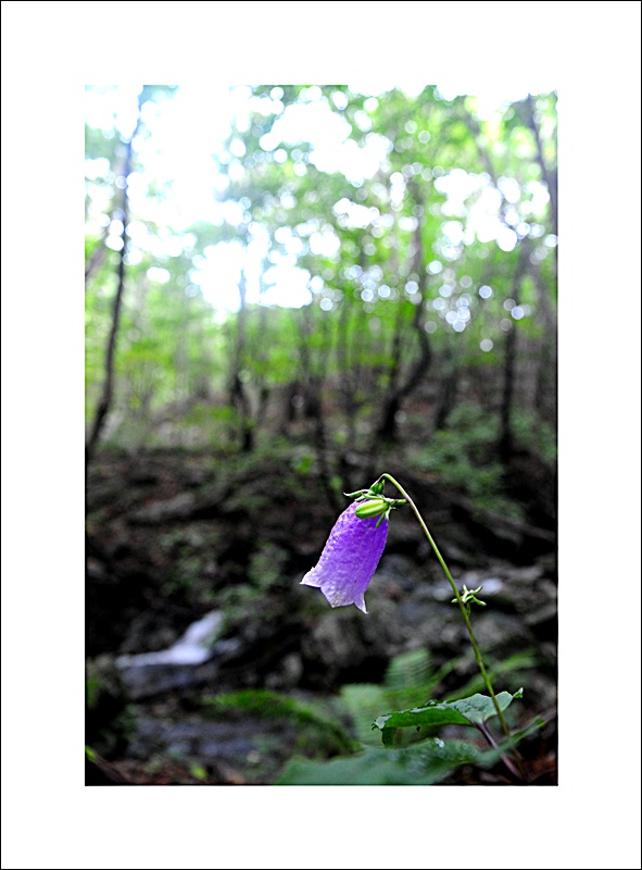DSC_5555.JPG