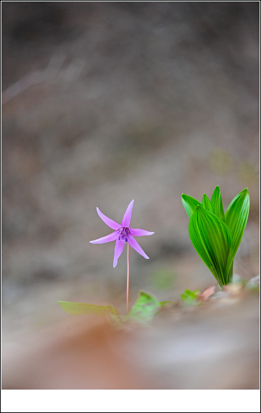 DSC_1930-1.jpg