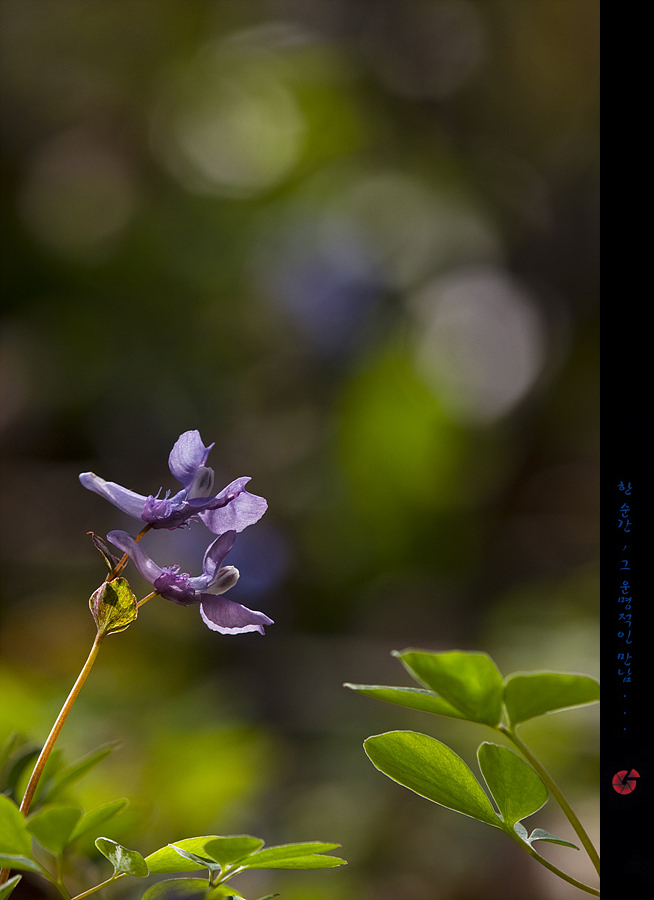 s2327291.jpg