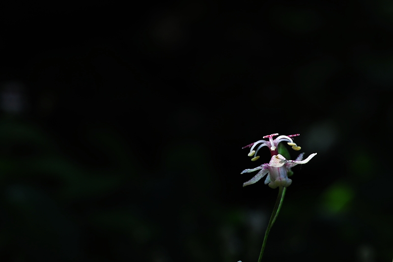 DSC_7873.jpg
