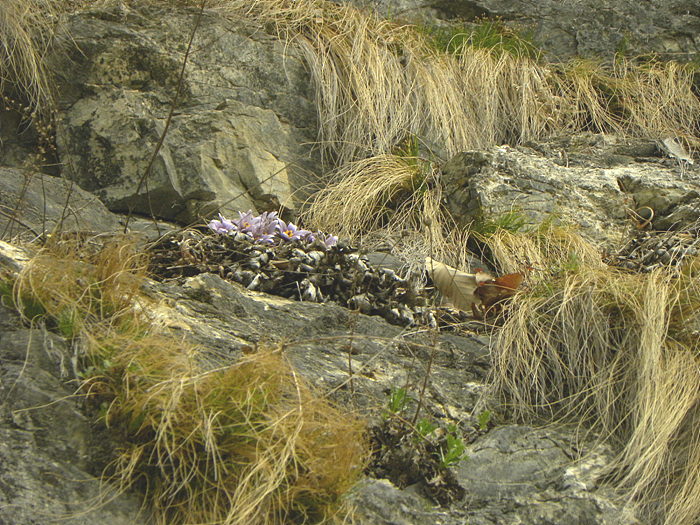 DSCN0036.jpg