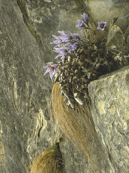 DSCN0035.jpg