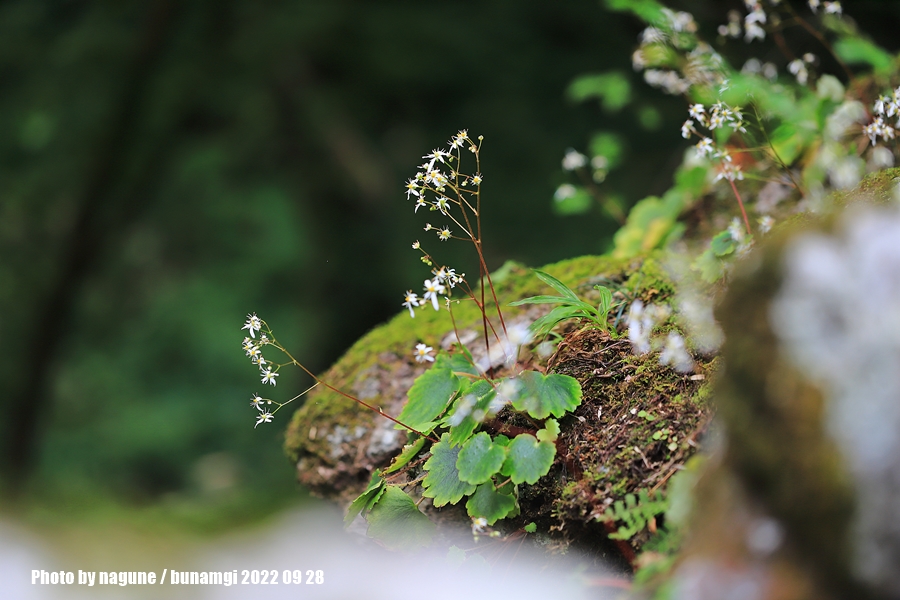 img (9).jpg