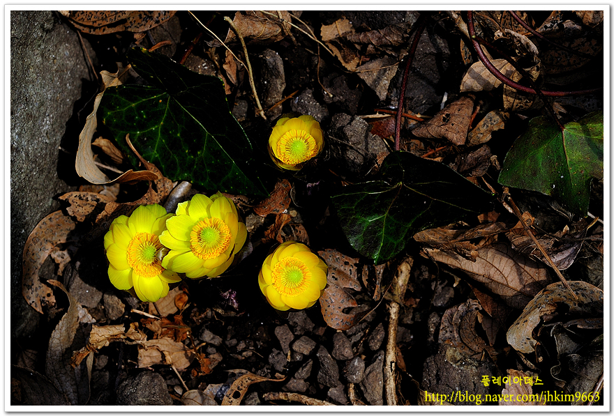 DSC_7984.jpg