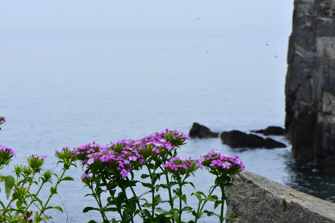 DSC_8557.JPG