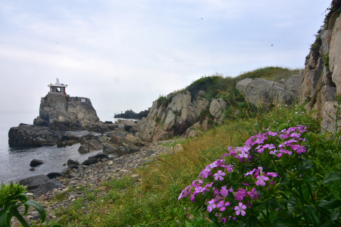 DSC_8524.JPG