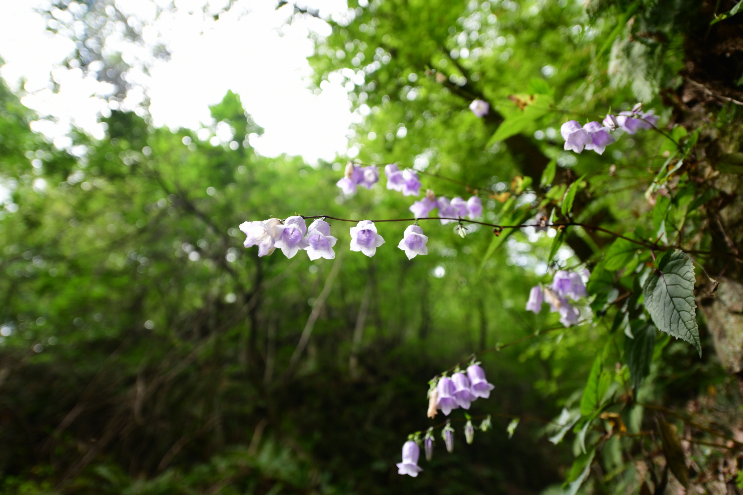 크기변환_DSC_3749.JPG