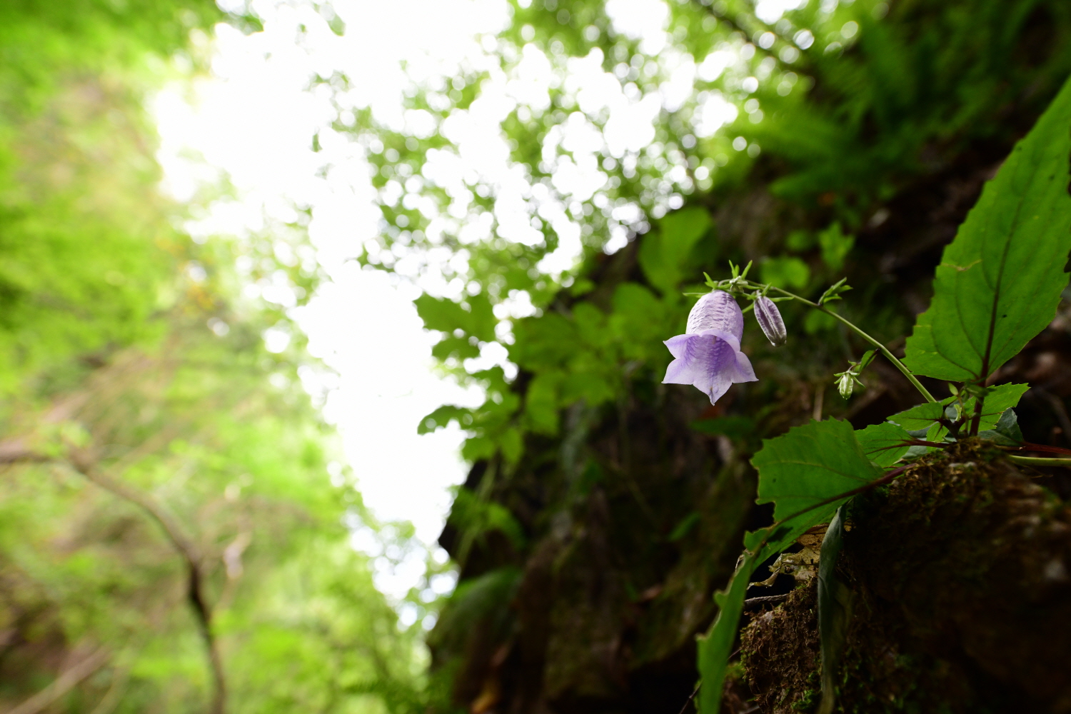 크기변환_DSC_4016.JPG