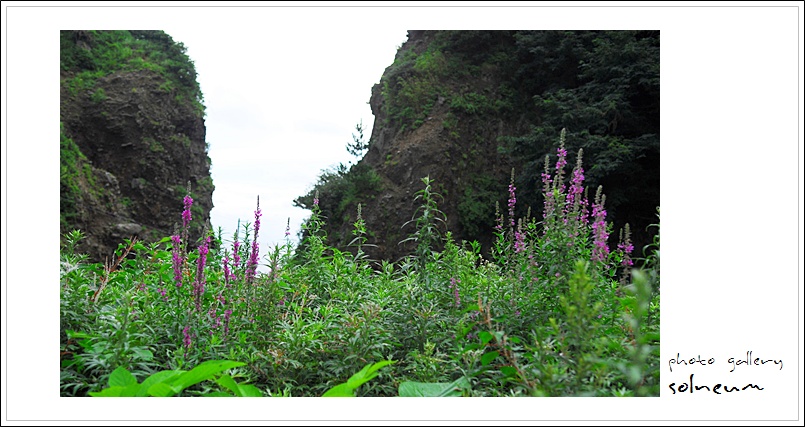 09-059 ulleungdo1 445s.jpg