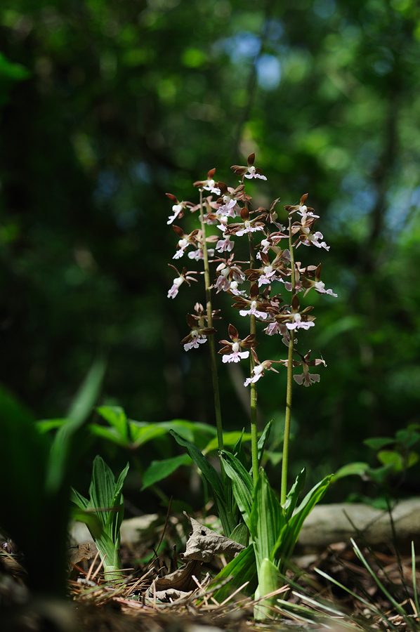 DSC_3123.jpg