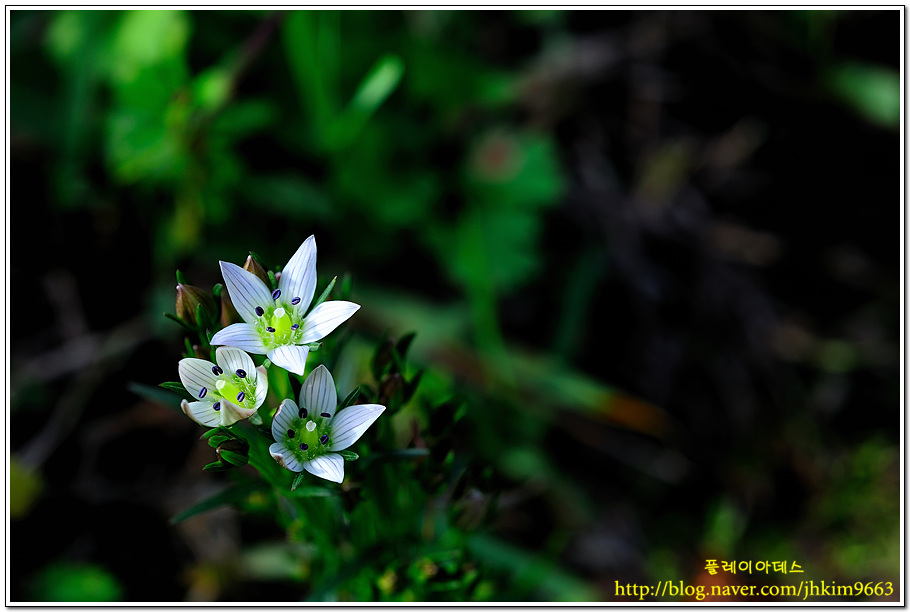 DSC_0069.jpg
