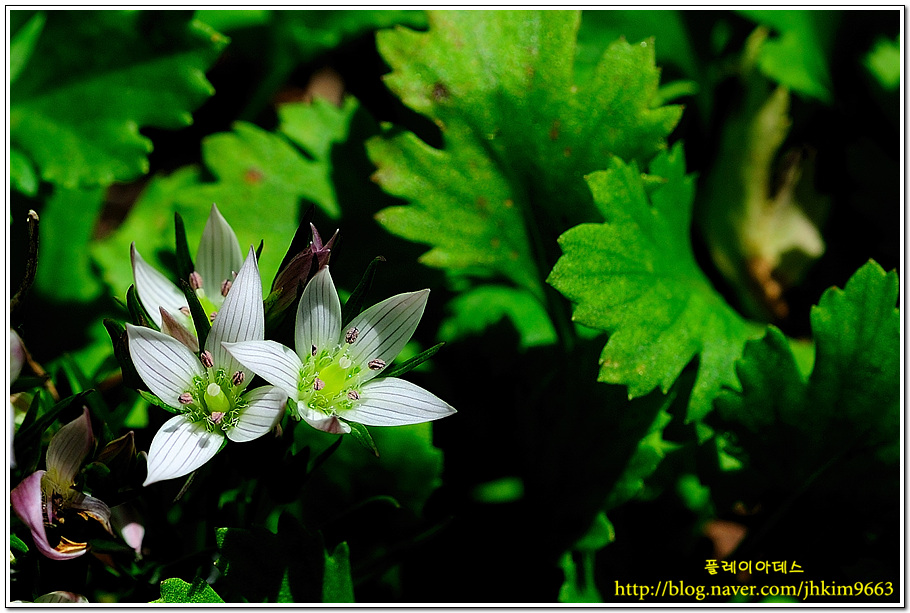 DSC_9935s.jpg