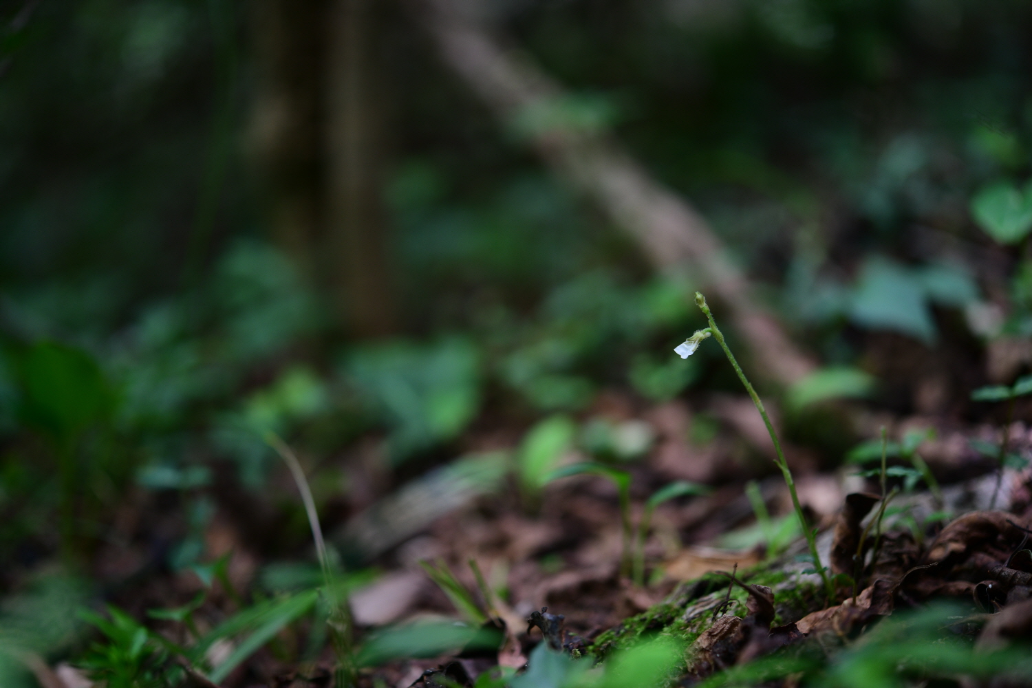 크기변환_DSC_9544.JPG