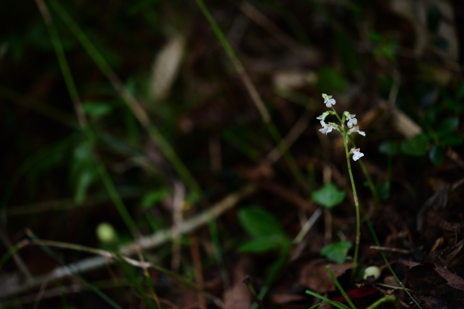 크기변환_DSC_9569.JPG
