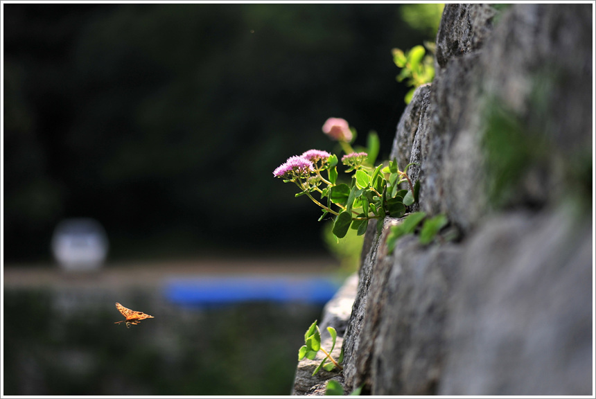 DSC_9860.jpg