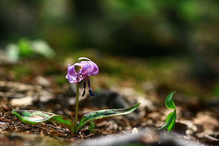 2010.04.22 015.jpg