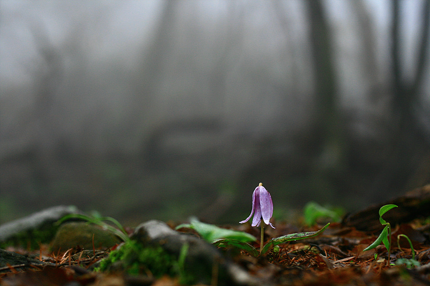 2010.04.22 125.jpg