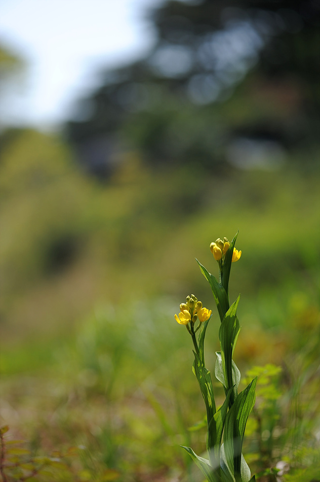 DSC_5909.jpg