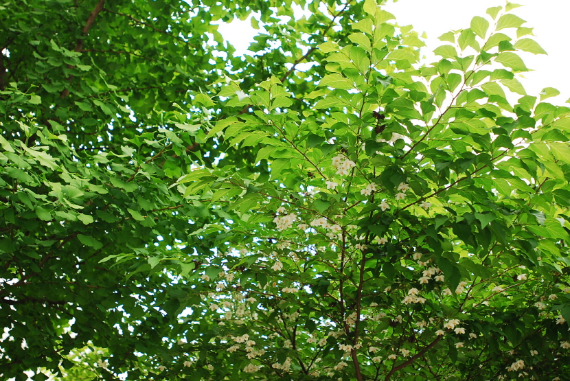 크기변환_DSC_0004.JPG