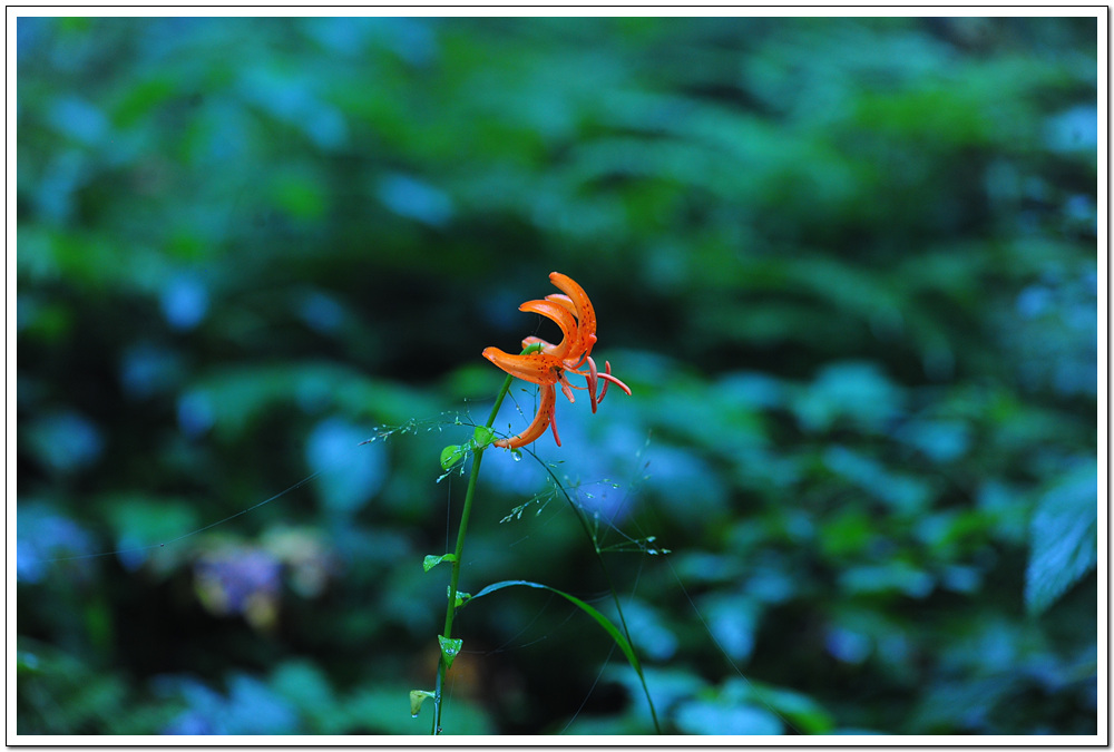 DSC_9080.jpg