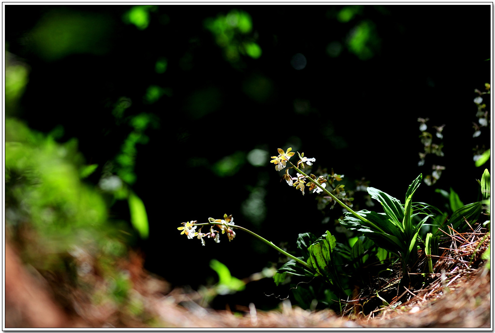DSC_2746.jpg