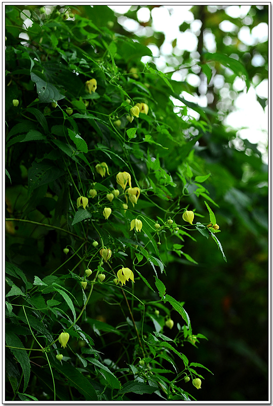 20100910_7447.jpg