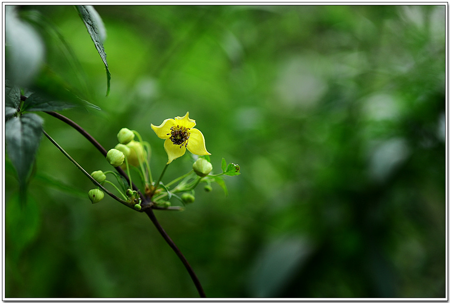 20100910_7472.jpg