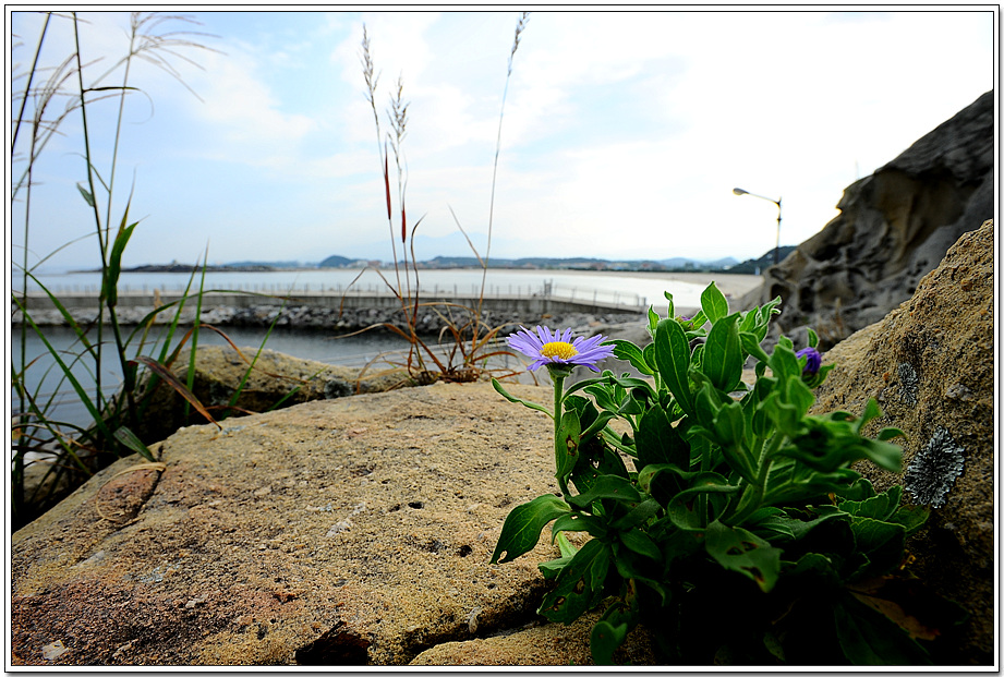 20100917_8185.jpg