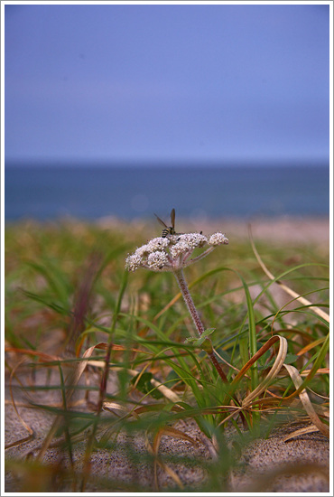 IMG_0680-1.jpg