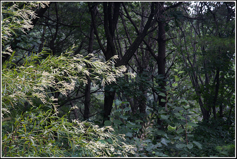 C_4-싱아4914.jpg