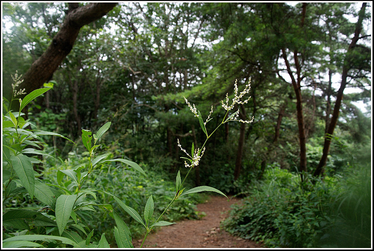 C_4-싱아4915.jpg
