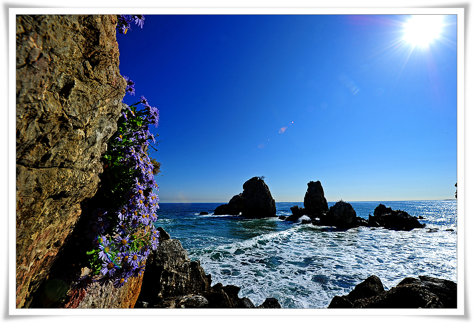 DSC_5168-1.jpg