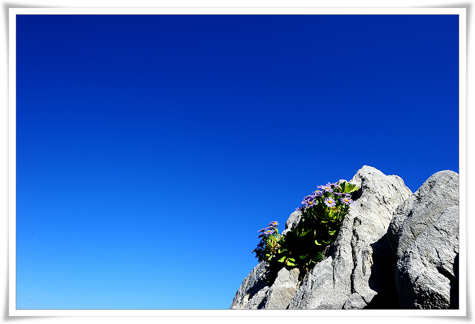 DSC_5142-1.jpg