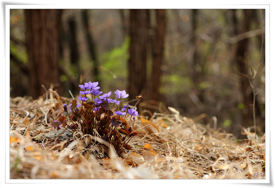 DSC_0291(재).jpg