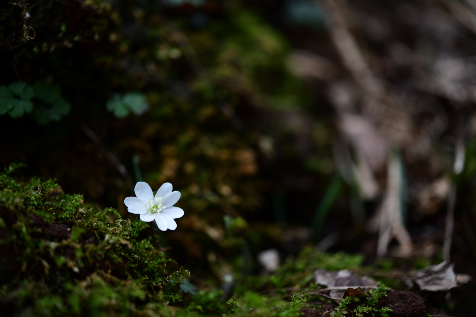 크기변환_DSC_3668.JPG