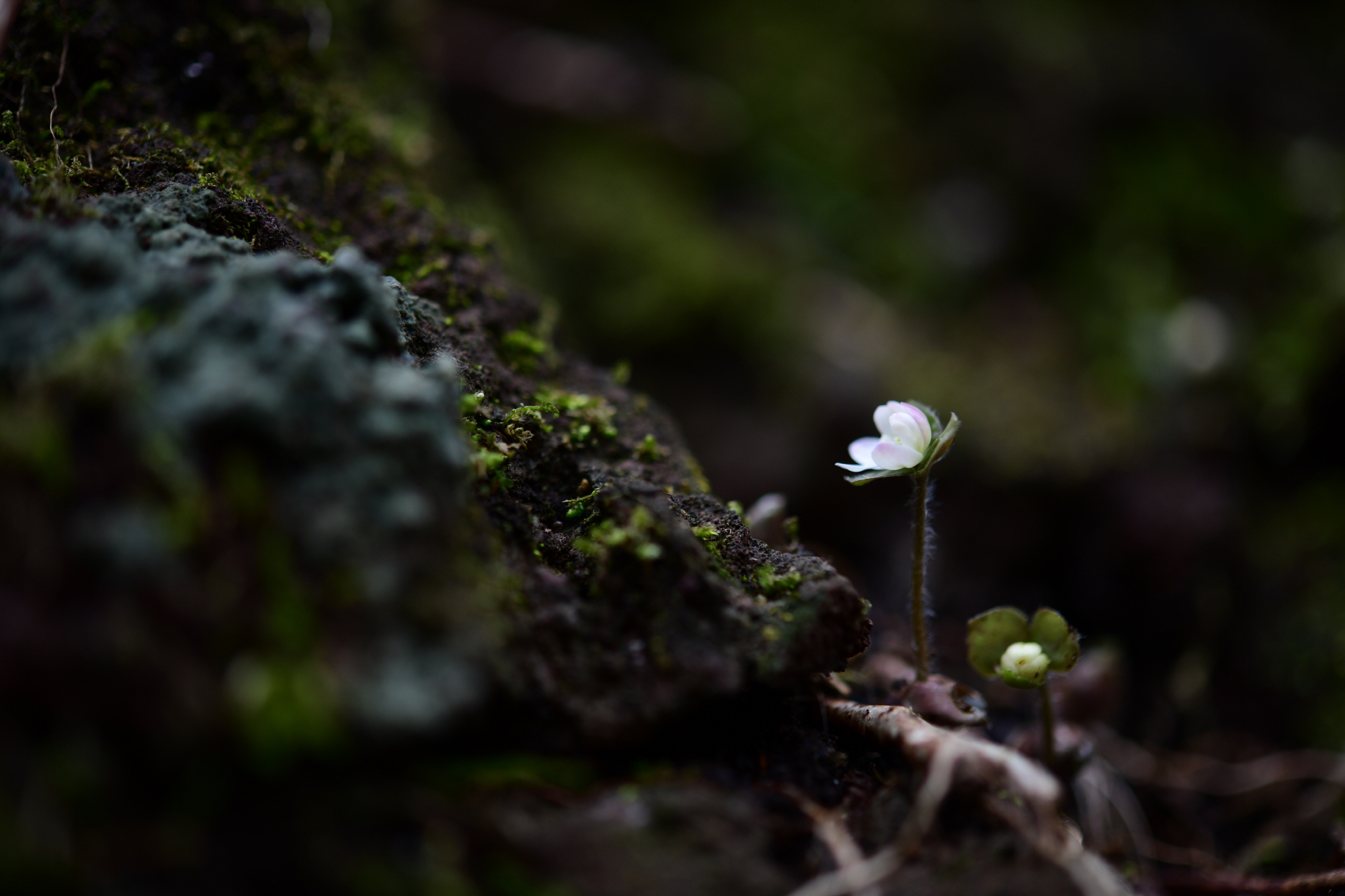 크기변환_DSC_3641.JPG