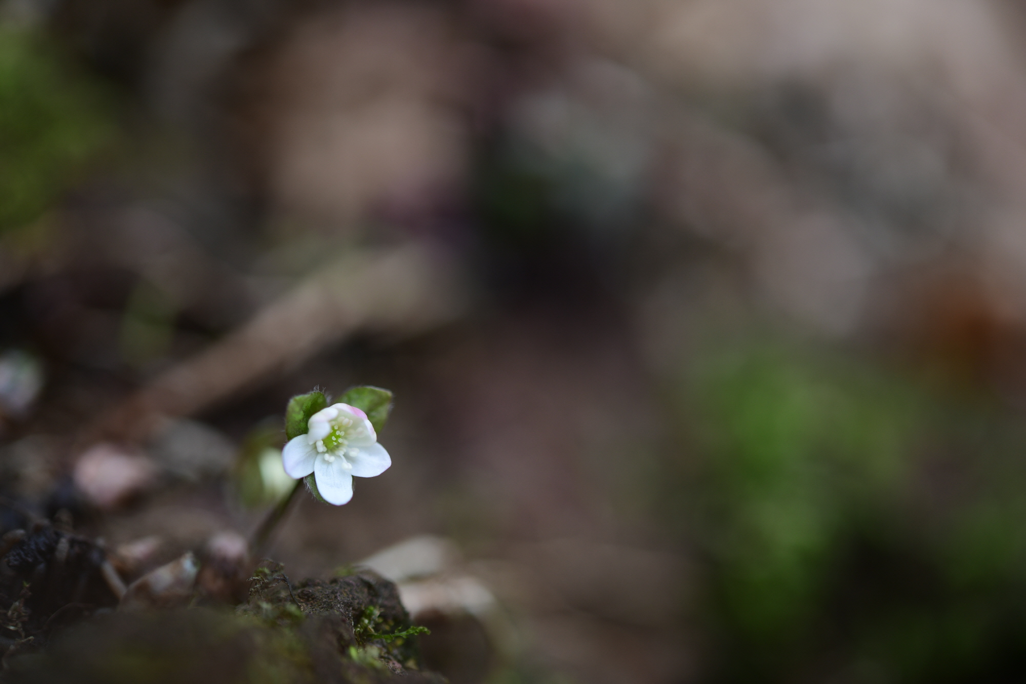 크기변환_DSC_3620.JPG