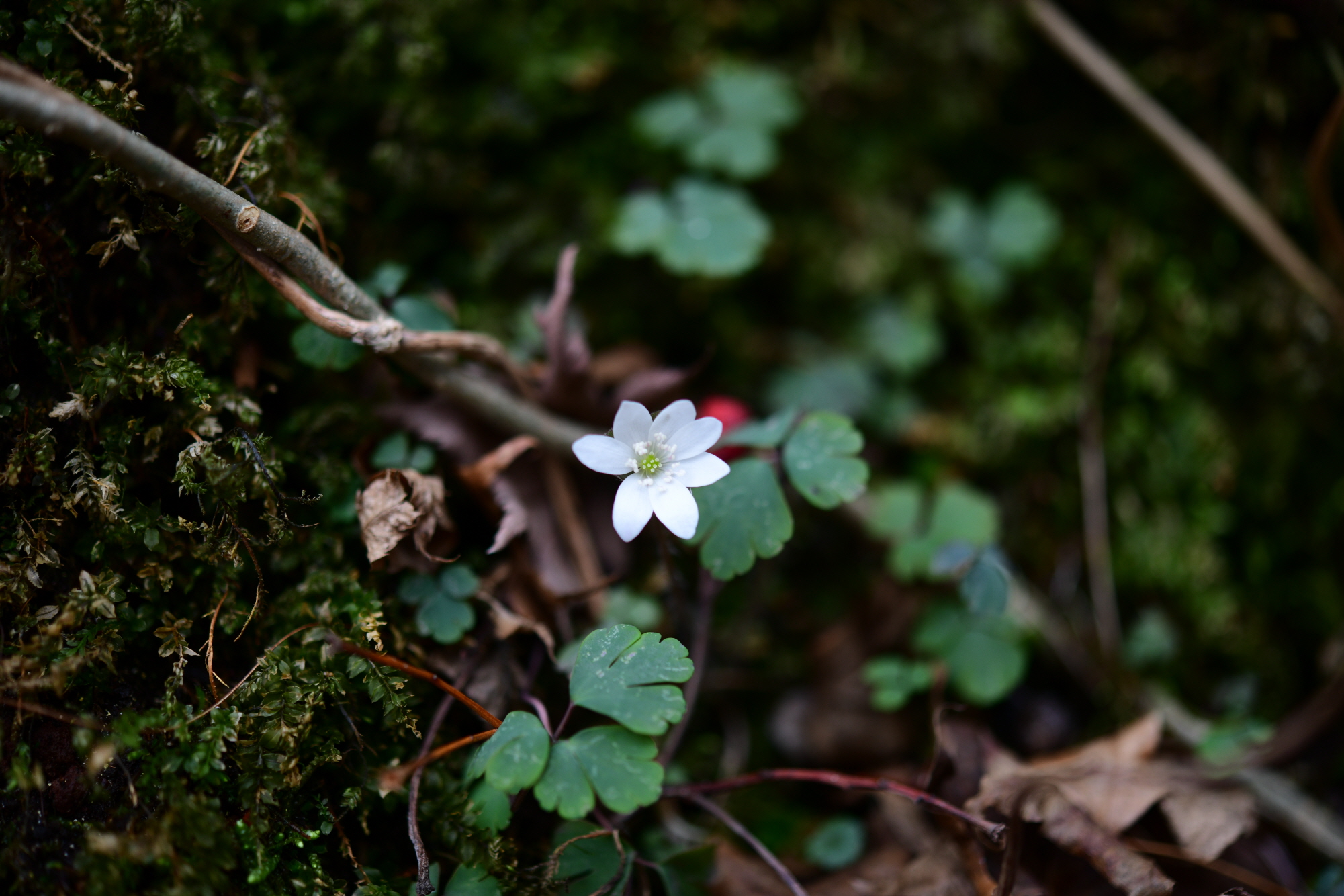 크기변환_DSC_3675.JPG